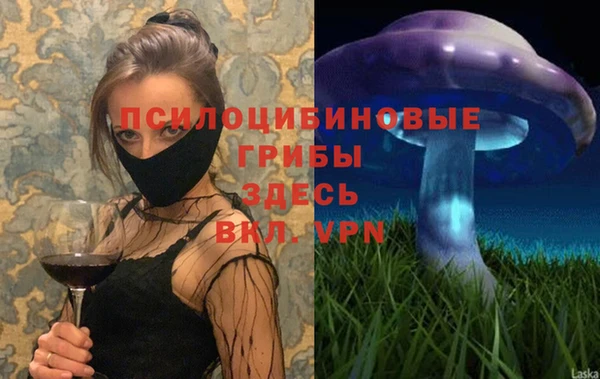 дживик Покров