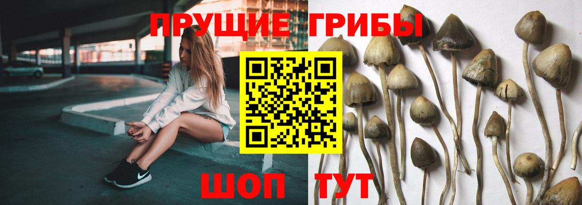 Галлюциногенные грибы прущие грибы  Вход с VPN  Старая Купавна 